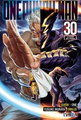 ONE PUNCH-MAN 30
